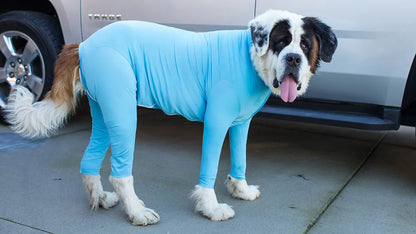 Anti Shedding Long Sleeve with Legs for Dogs