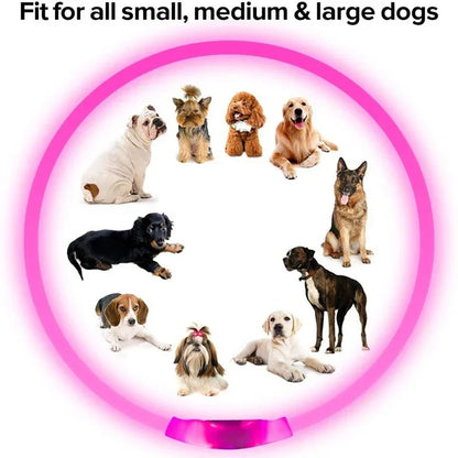 3 Modes USB Rechargeable LED Dog Collar