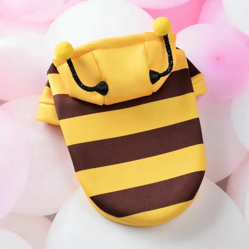 t shirt pet
