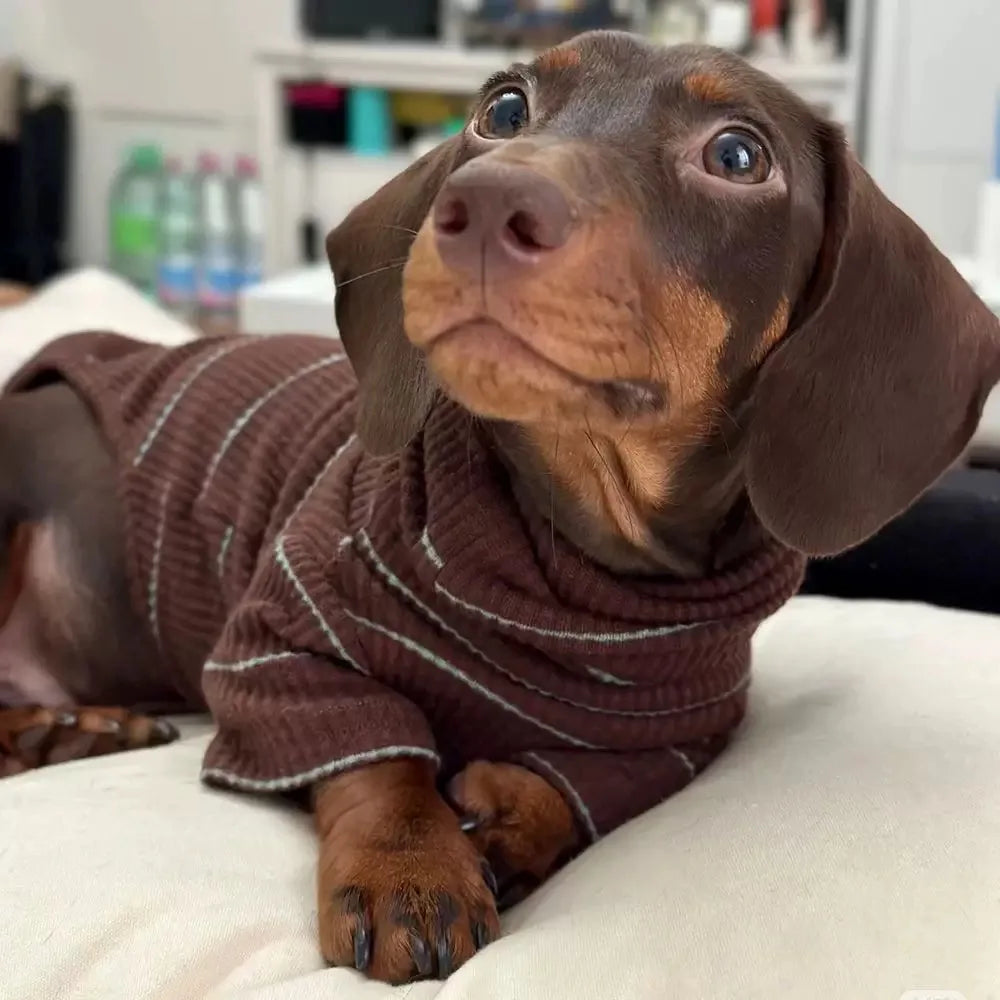 Sausage Dog Jumpers