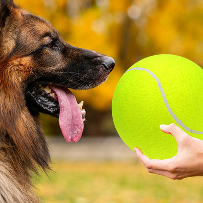 9.5 Giant Tennis Balls for Dogs