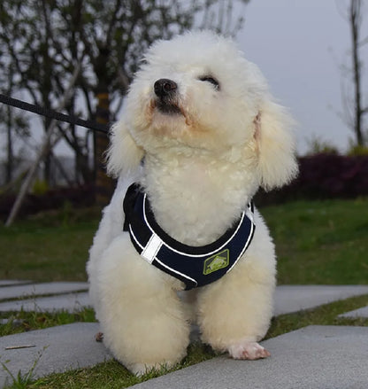 Reflective Velcro Harness and Leads Set For Small Large Dogs