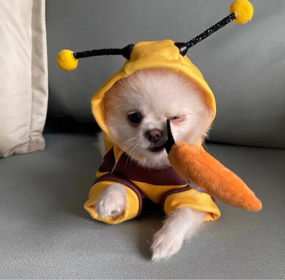 1pc Dog Hoodie Clothes for Autumn and Winter