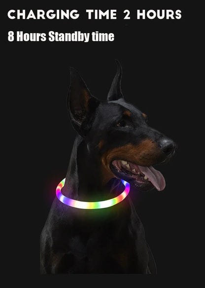 dog collar light rechargeable